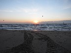 Scheveningen0015.JPG (123872 bytes)